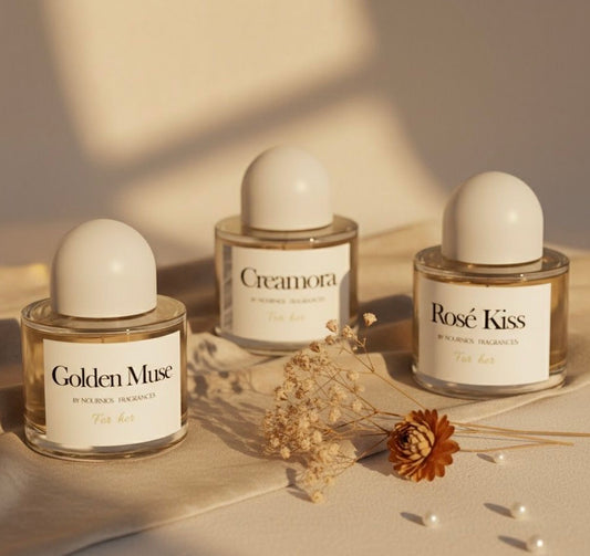 Black Friday Bundle – Special Edition